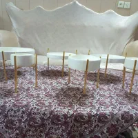 ظروف پذیرایی شیک