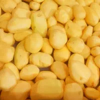 خلال سیب زمینی اگریا