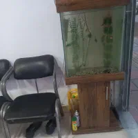 آکواریوم  باماهی