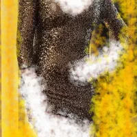 سه عدد لباس مجلسی سایز ۳۴ . ۳۶ . ۴۶