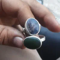 شجر قاعنات ویشم
