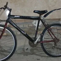 دوچرخه در حد دنه ای
