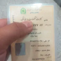 ۲۰۶ تیپ۲ بیرنگ پلمپ تک برگ