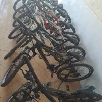 دوچرخه های ویوا در سایزبندی مختلف اقسا طی در تکرو