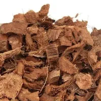 کوکوچیپس 10 لیتری