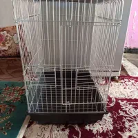 قفس پرنده
