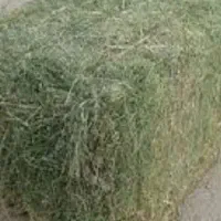 فروش یونجه