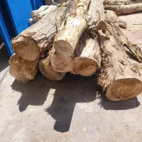 فروش چوب کبوده خشک