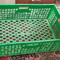 سبد