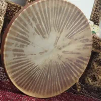 دو عدد دف|سازهای سنتی|حسین آباد, |دیوار