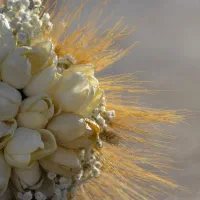 عکاسی وفیلمبردای عروسی .فرمالیته. مدلینگ.و