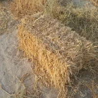 کاه پرس جو وگندم کیلو ۴۵۰۰