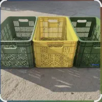سبد انگور