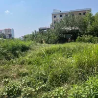 متقاضی سازنده در دیانتی کوچه استقلال پامچال هشتم