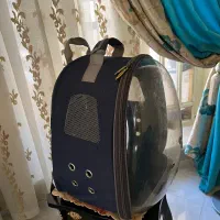 باکس کولی برای سگ