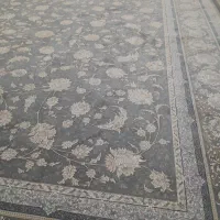 قالی شویی