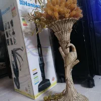 شاخه نبات عروس کاسه نبات