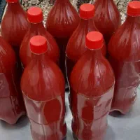 رب درجه یک