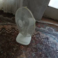 پنگه فروشی سالم