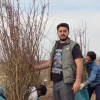 نهال بادام ک‌ سال ها برات محصول میده