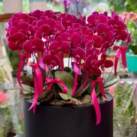 اگه عاشق گل و گیاهی بخون