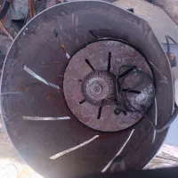 پوست کندن گردو در منزل شما