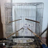 قفس بزرگ پرنده