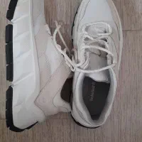 کفش کتونی Timberland