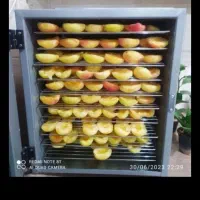 دستگاه میوه و سبزی خشک کن