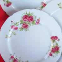 بشقاب گلسرخی