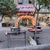 نیروی کار کبابی اقا یا خانم