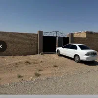 دامداری خوش قیمت