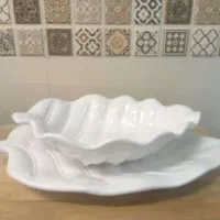 ظرف پذیرایی