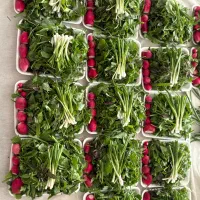 سبزی خوردن پاک شده شسته شده