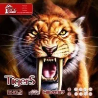 رویه راکت پینگ پنگ تایگرز