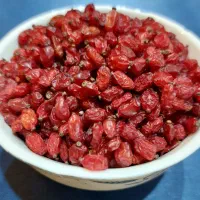 زرشک درجه یک عمده و خرده