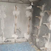رنگی|پرنده|آباده, |دیوار