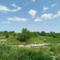 فروش زمین مسکونی 220مترشمالی شهرک المهدی