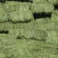 فروش یونجه