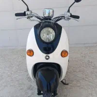 پاکشتی وینو