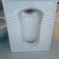 توالت باغی