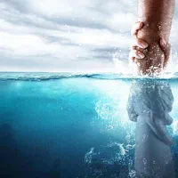 نجات اعتیاد زیرنظرپژوهشگده گیاهان دارویی