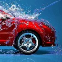 نیروی کار در کارواش