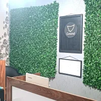 استخدام حسابدار(منظم و با انگیزه) و فرصت یادگیری