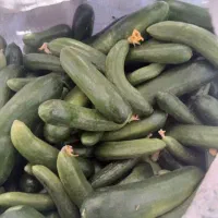 چند گونی خیار سایز متوسط برای شوری و خوراکی