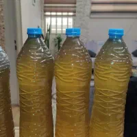 سلام