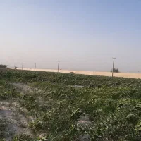 فروش-زمین-مزروعی