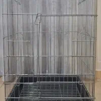 قفس پرنده