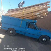 خریدار چوب درخت کنده ریشه حرص