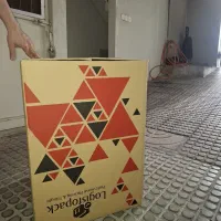۴ کارتن نو